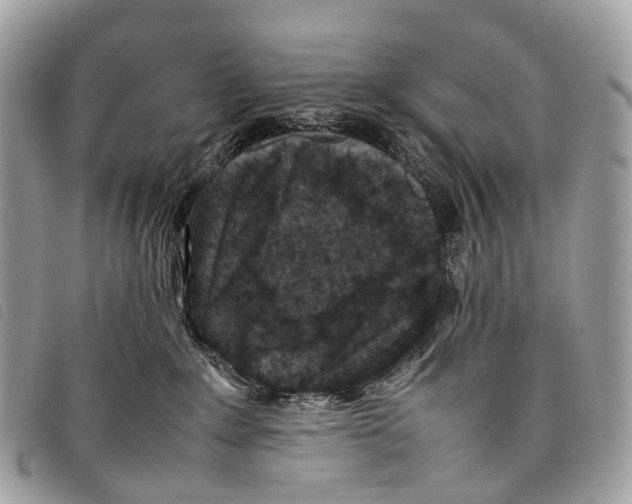 X0000097840235200804111112