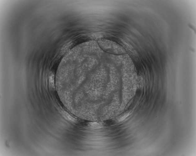 X0000097840238200804111112