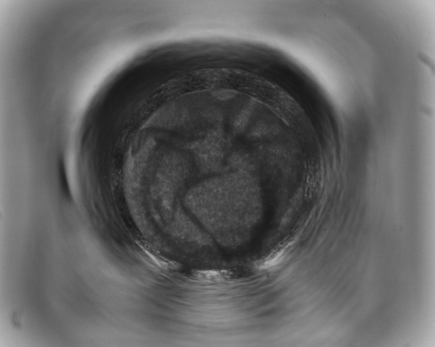 X0000097840239200804111112