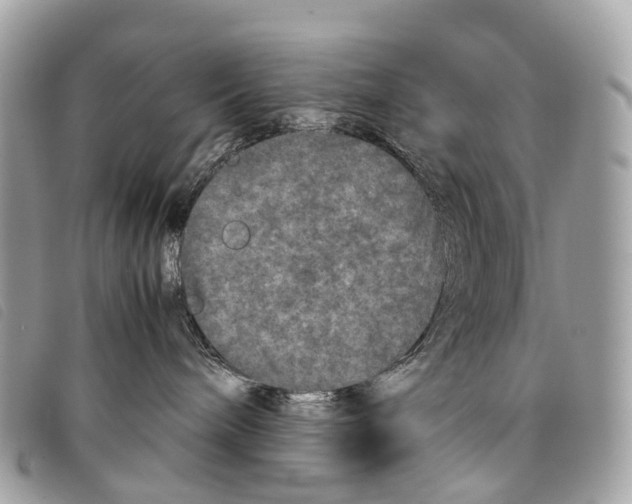 X0000097840240200804111112