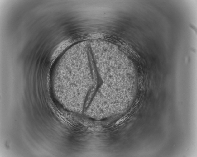 X0000097840242200804111111