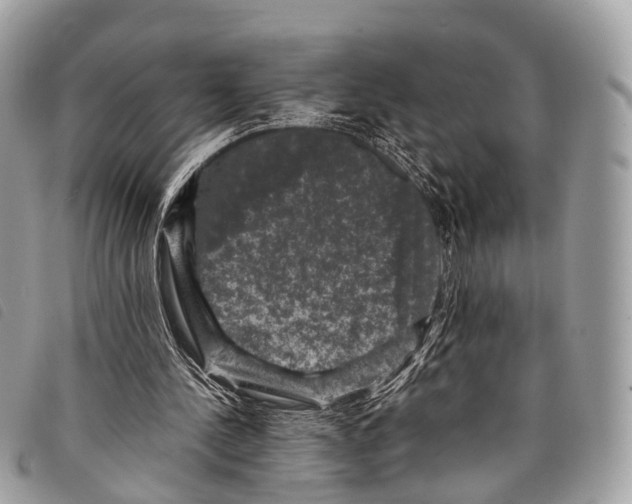 X0000097840244200804111111