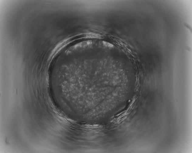 X0000097840247200804111111