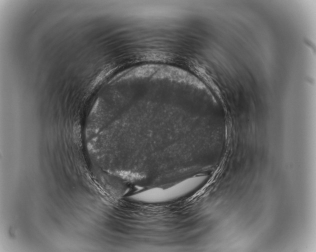 X0000097840249200804111111