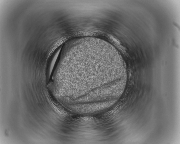 X0000097840250200804111111