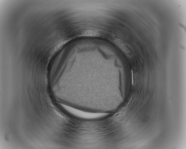 X0000097840252200804111111