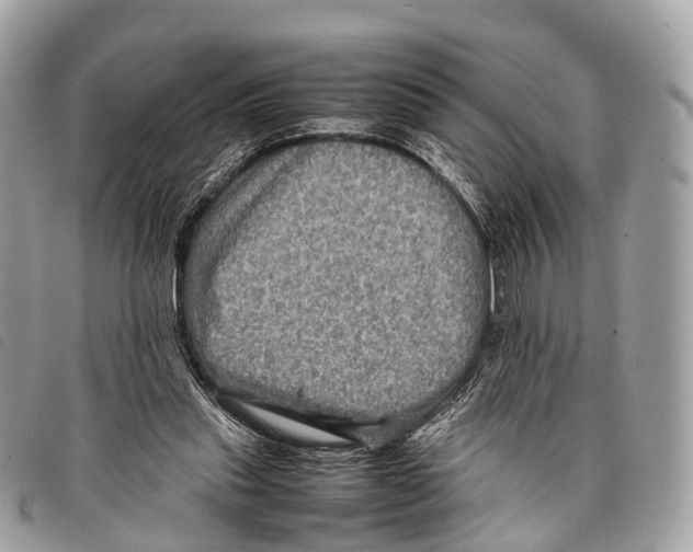 X0000097840253200804111111