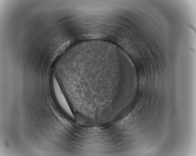 X0000097840254200804111111