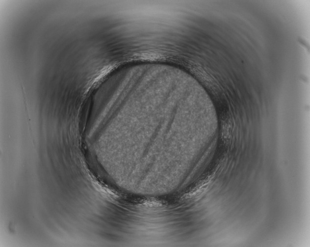 X0000097840256200804111111
