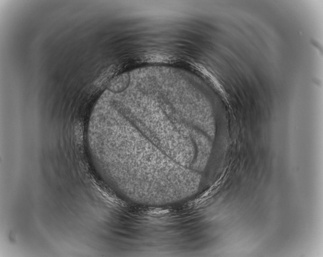 X0000097840257200804111111