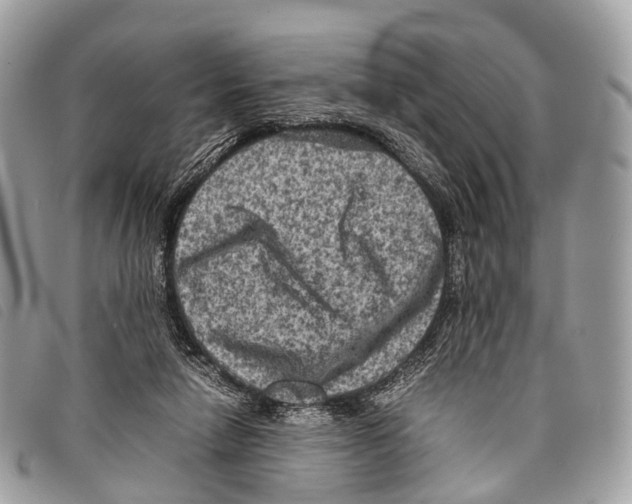 X0000097840258200804111111