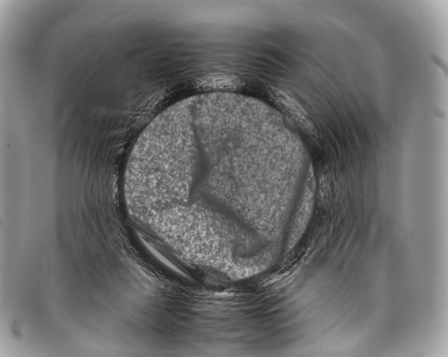 X0000097840259200804111112