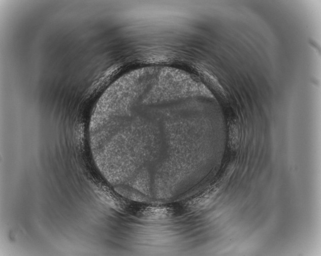 X0000097840260200804111112