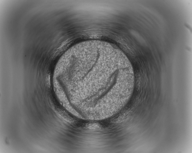 X0000097840262200804111112