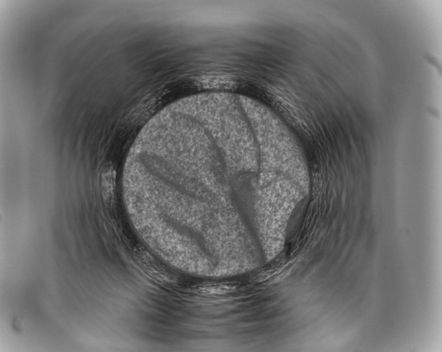 X0000097840263200804111112