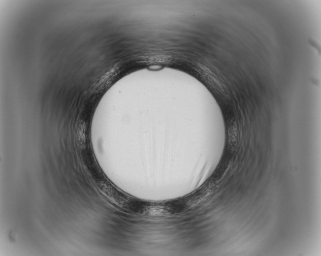 X0000097840264200804111112