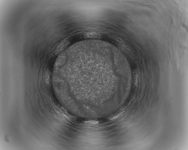 X0000097840266200804111112