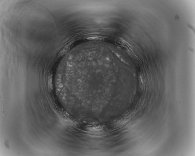 X0000097840267200804111112