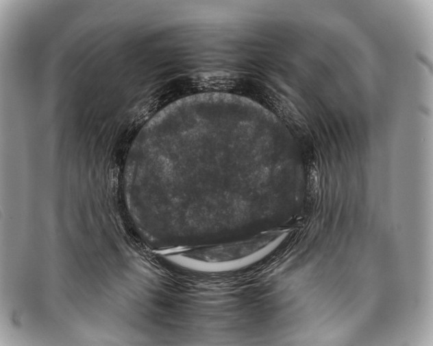 X0000097840271200804111112
