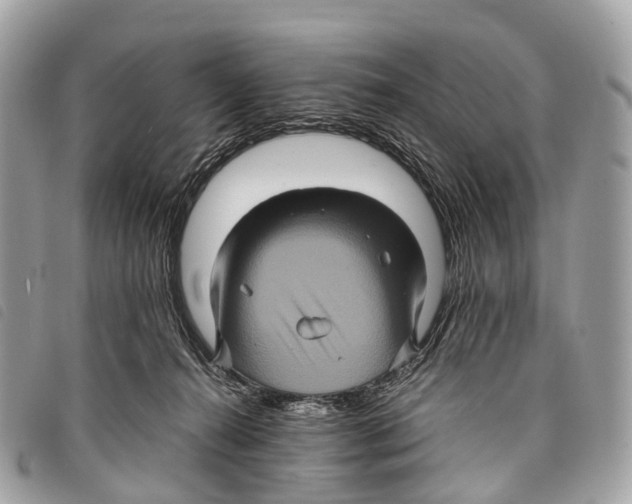X0000097840272200804111112