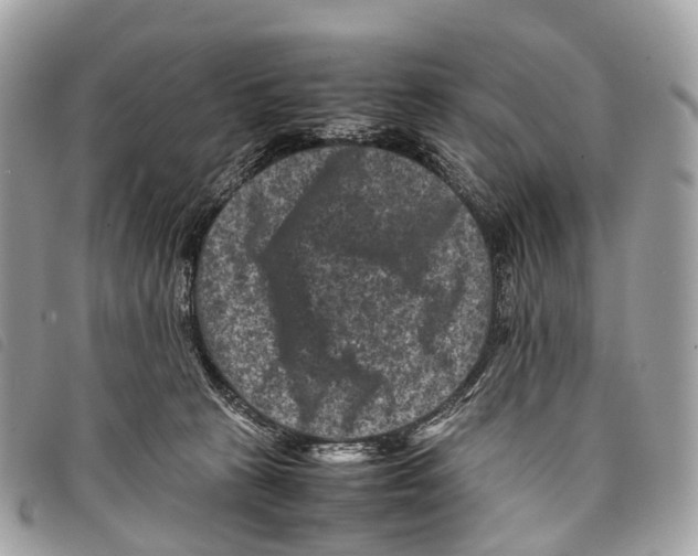 X0000097840273200804111112