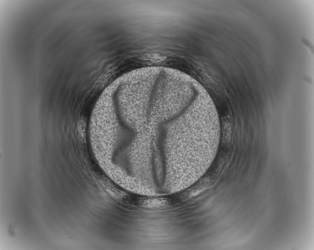 X0000097840274200804111112