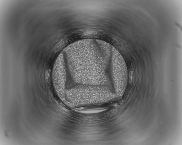 X0000097840278200804111112