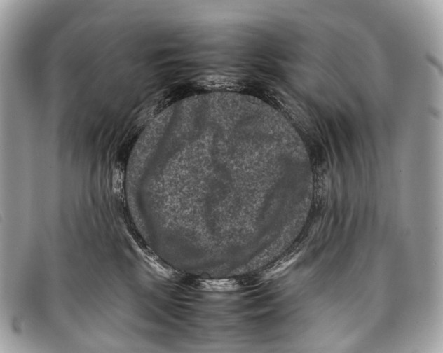 X0000097840281200804111112