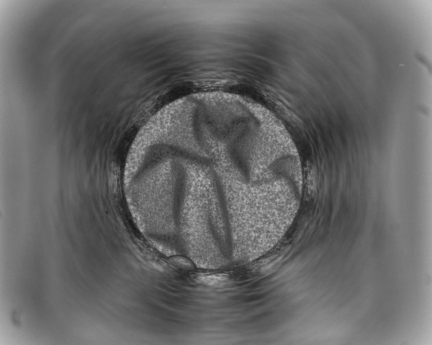 X0000097840283200804111112