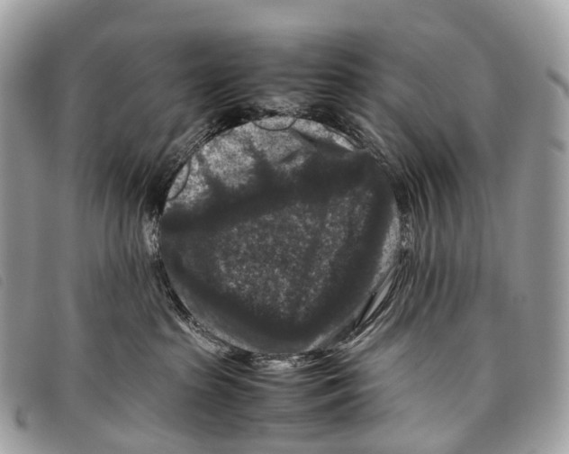 X0000097840285200804111112