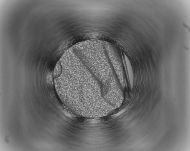 X0000097840286200804111112