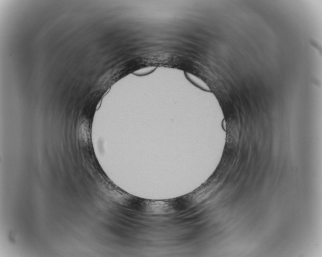 X0000097840287200804111112