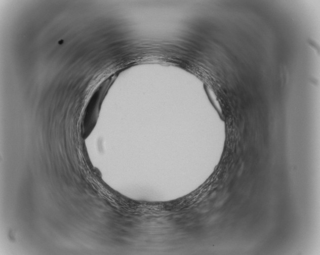 X0000097840289200804111111