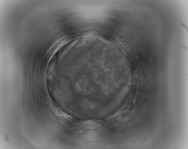 X0000097840290200804111111