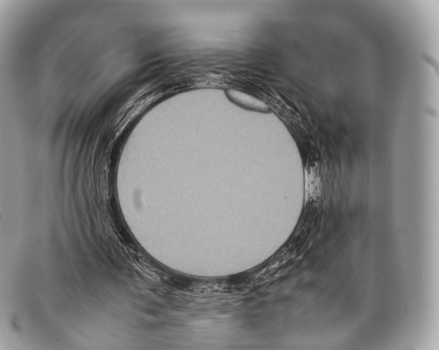 X0000097840291200804111111