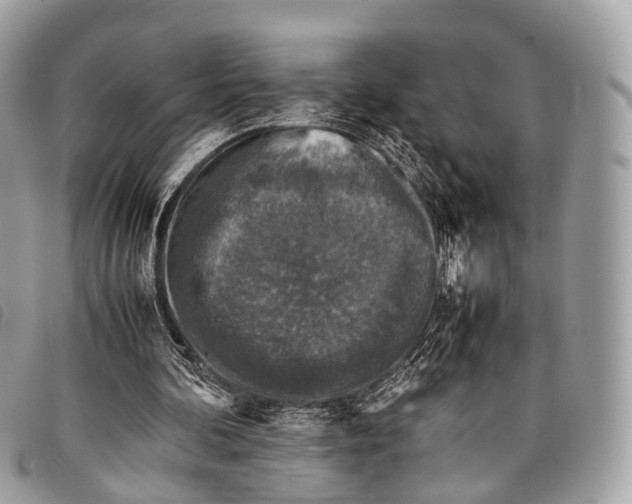 X0000097840292200804111111