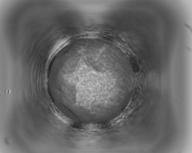X0000097840293200804111111