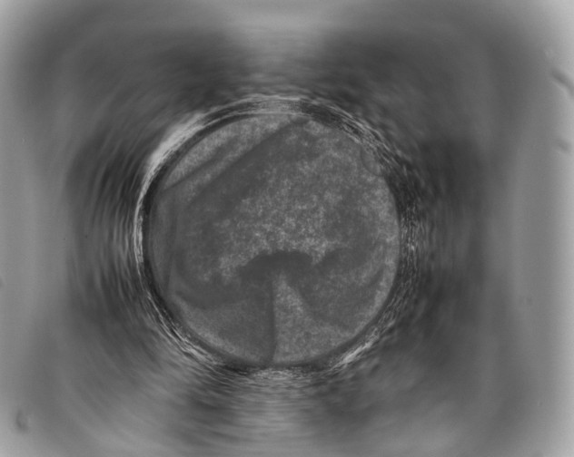 X0000097840294200804111111