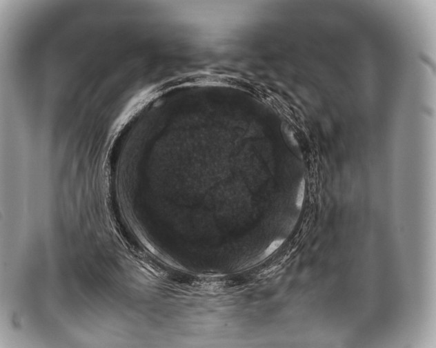 X0000097840295200804111111