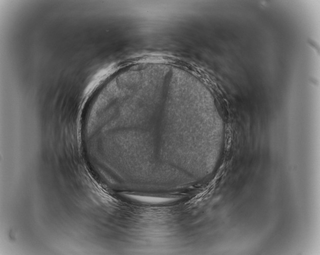 X0000097840296200804111111