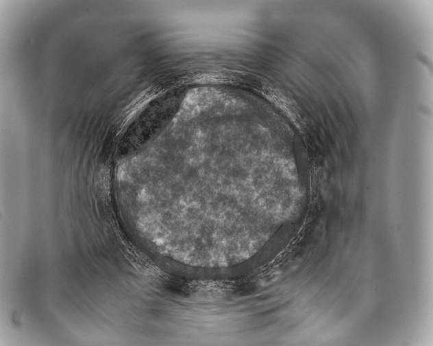 X0000097840297200804111111