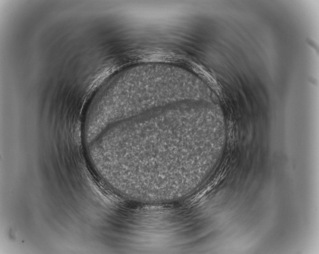 X0000097840298200804111111