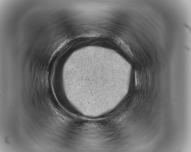 X0000097840300200804111111