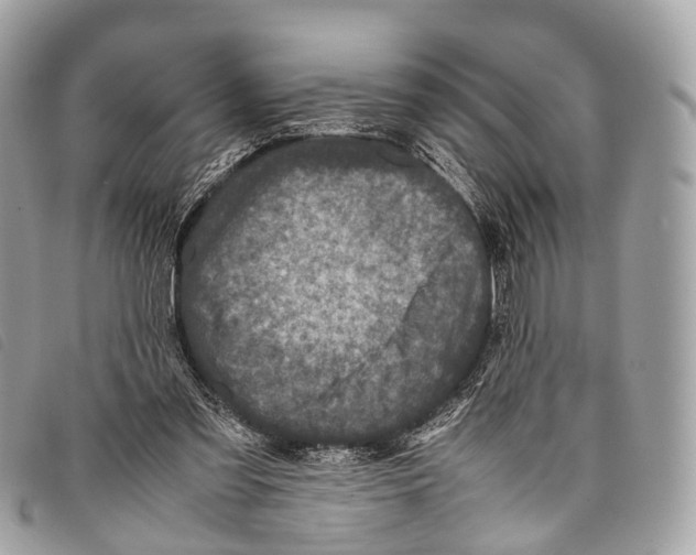 X0000097840301200804111111