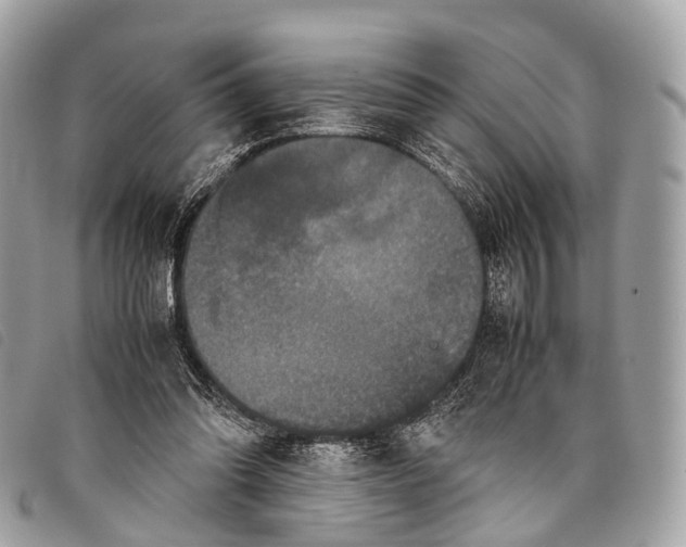 X0000097840302200804111111