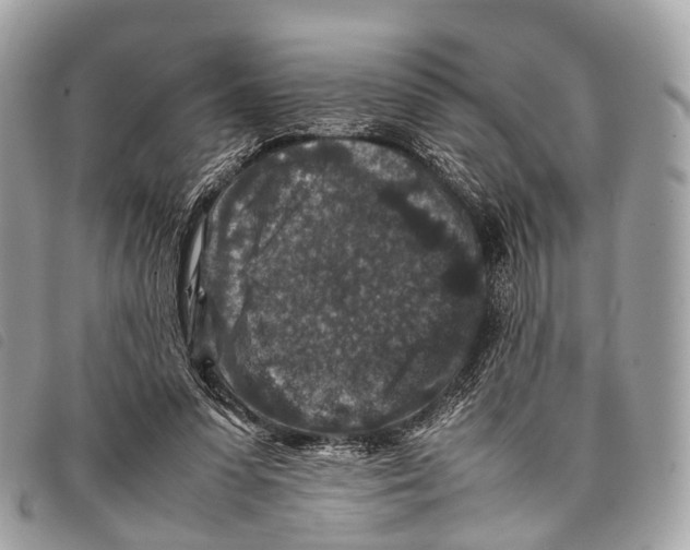 X0000097840303200804111111
