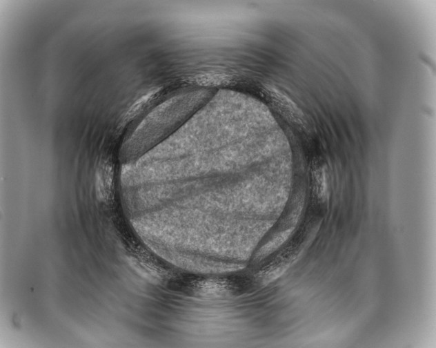 X0000097840308200804111111