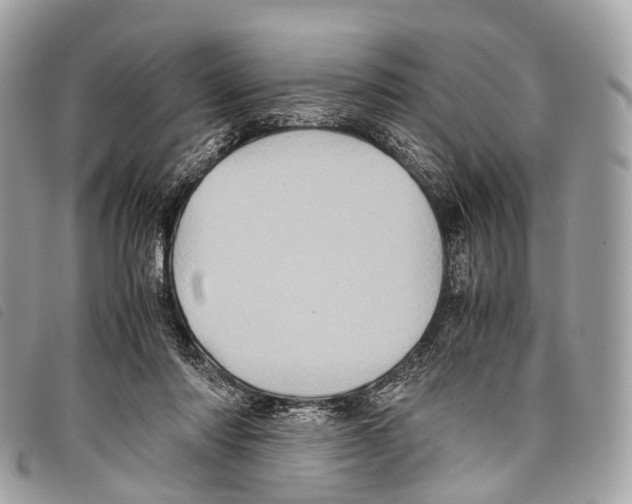 X0000097840310200804111111
