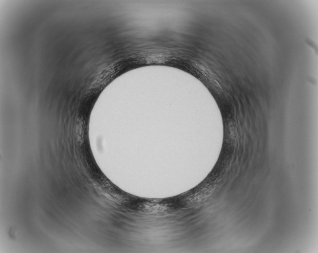 X0000097840311200804111111