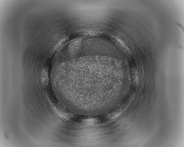 X0000097840312200804111111